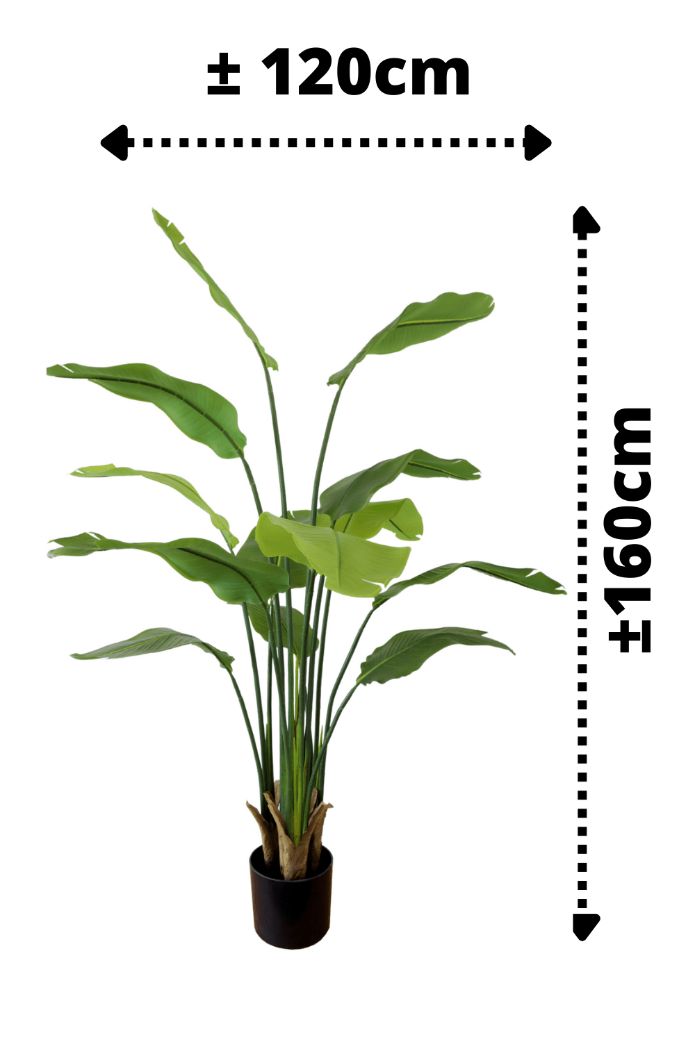 Strelitzia Kunstplant 160cm