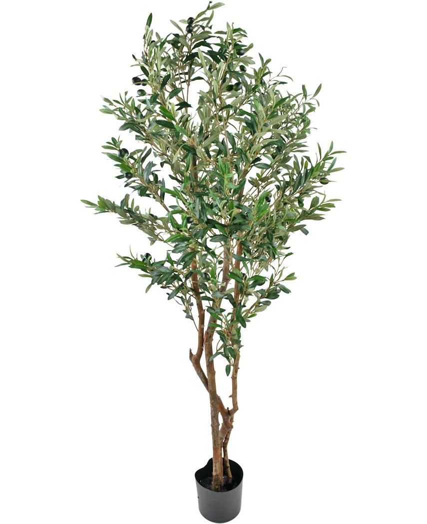 Kunst Olijfboom 160 cm