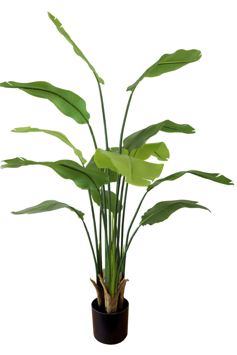 Strelitzia Kunstplant 160cm