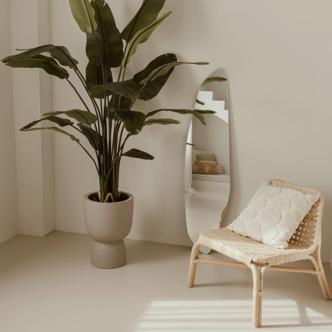 Assymetrische spiegels