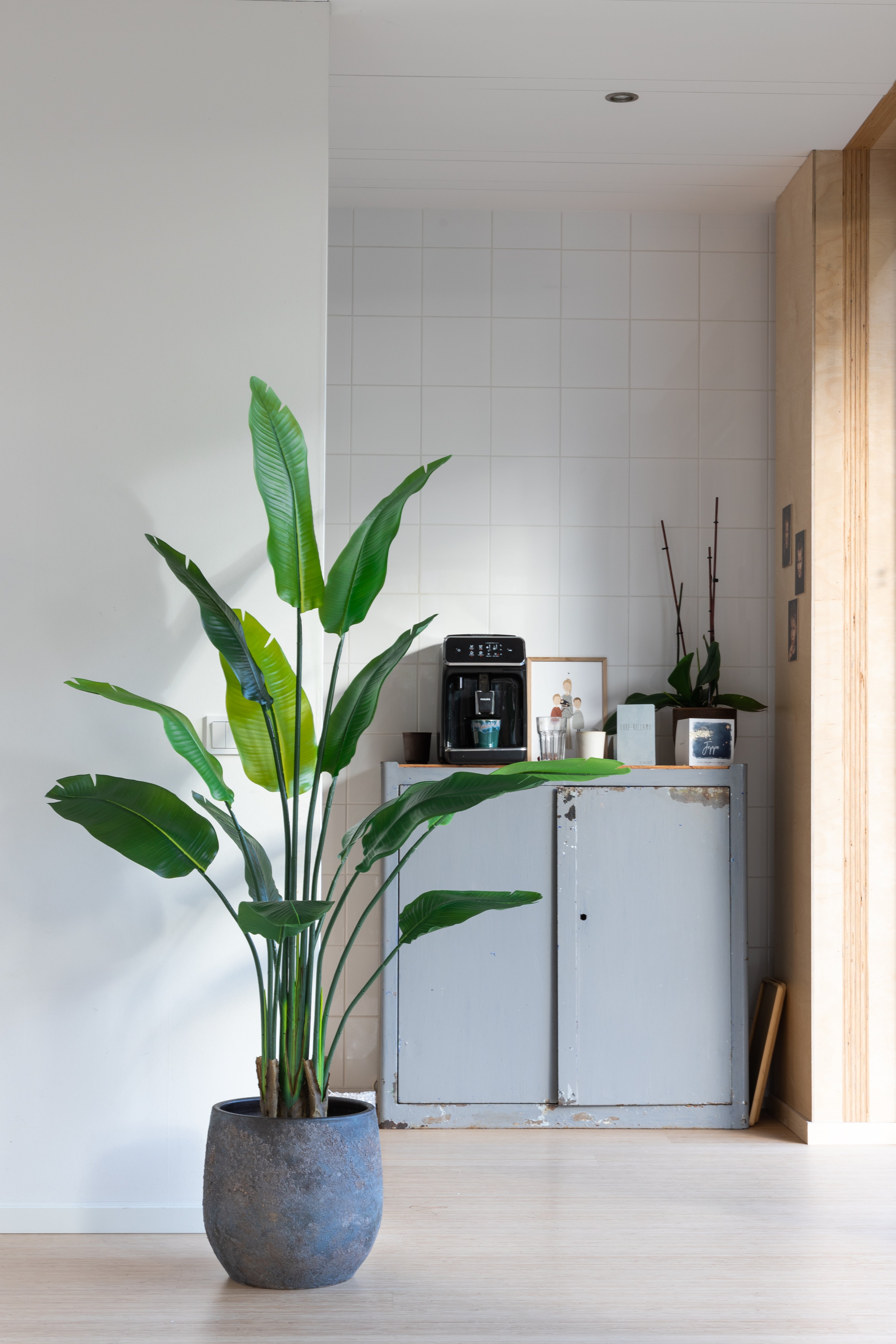 Strelitzia Kunstplant 160cm