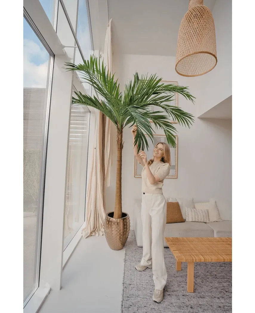Palm XL Deluxe 270 cm
