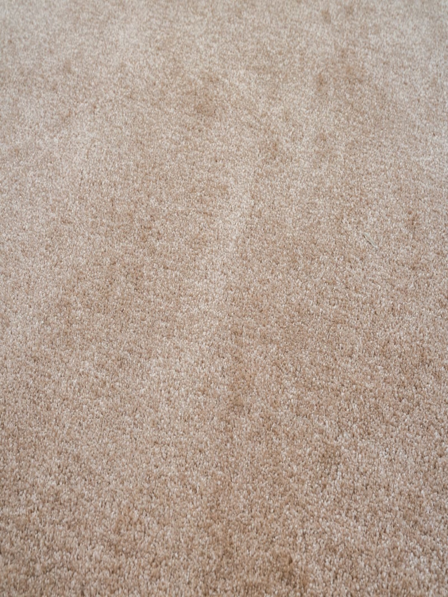 Asta – Beige vloerkleed