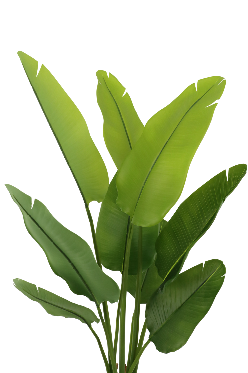 Strelitzia Kunstplant 120cm
